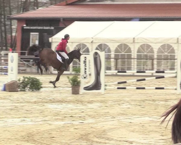 Reitturnier Schloß Holte 2018