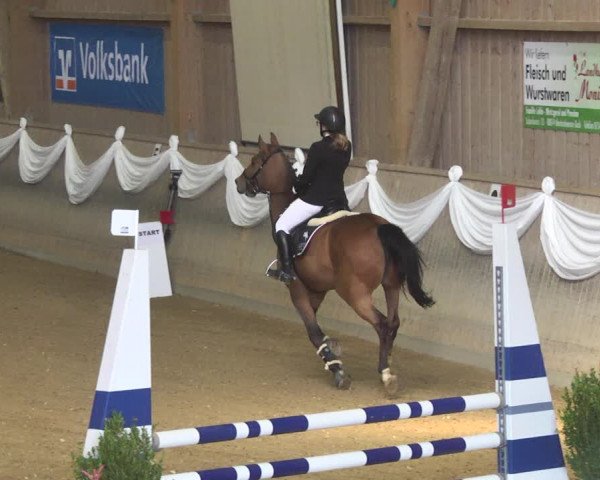 Reitturnier Friedrichshafen - Ailingen 2018