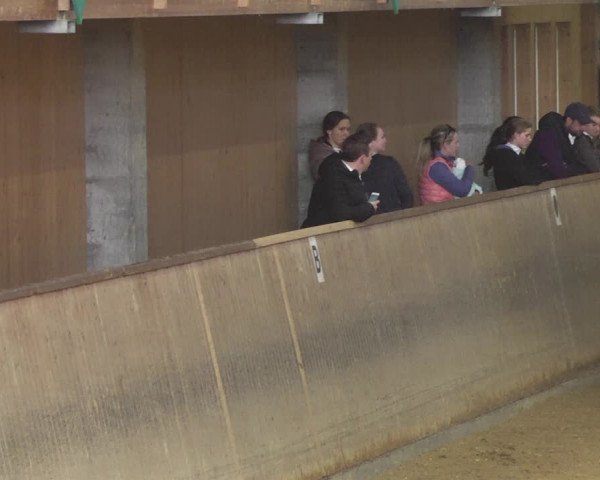 Reitturnier Friedrichshafen - Ailingen 2018