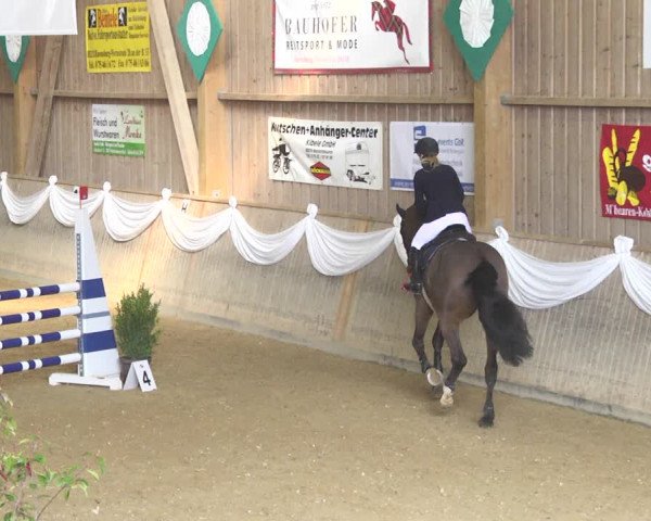 Reitturnier Friedrichshafen - Ailingen 2018