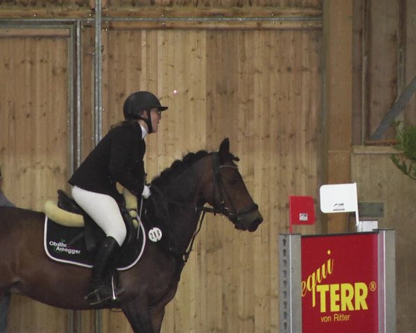 Reitturnier Friedrichshafen - Ailingen 2018