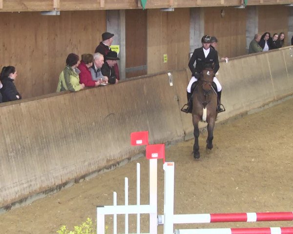 Reitturnier Friedrichshafen - Ailingen 2018