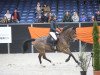 Springpferd Jojoe Ter Doorn (Belgisches Warmblut, 2009, von Toulon)