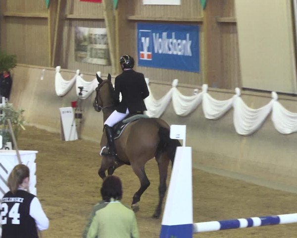 Reitturnier Friedrichshafen - Ailingen 2018