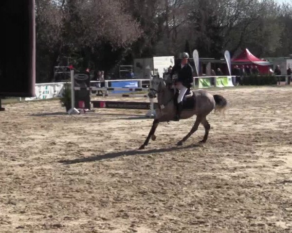 Reitturnier Bottrop 2018