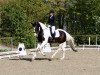 dressage horse Fantastica (Bavarian, 2011, from Samaii)