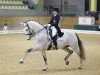 dressage horse Pramwaldhof's Emir (Spanish Sport Horse, 2009, from Roble)