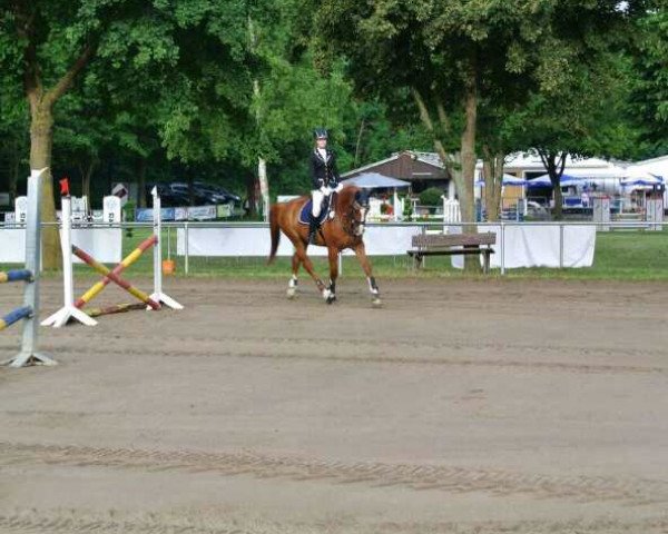 jumper Winnitouch 2 (Hanoverian, 2002, from Waterford)