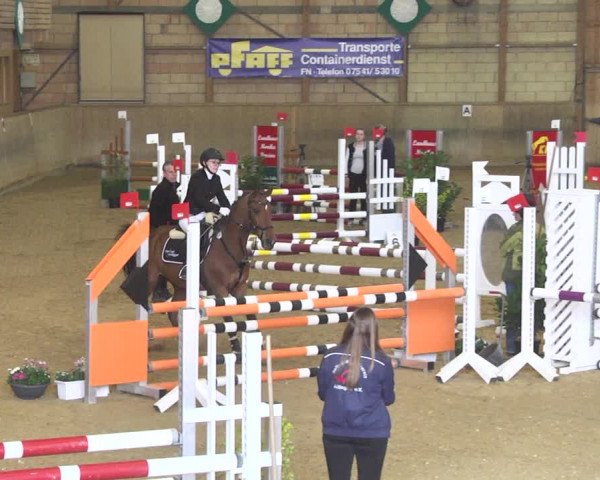 Reitturnier Friedrichshafen - Ailingen 2018
