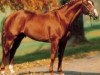 stallion Bordeaux (Hanoverian, 1987, from Bolero)