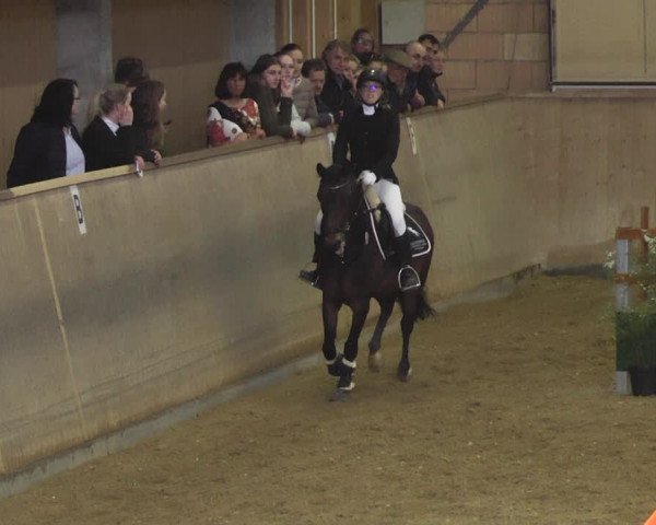Reitturnier Friedrichshafen - Ailingen 2018