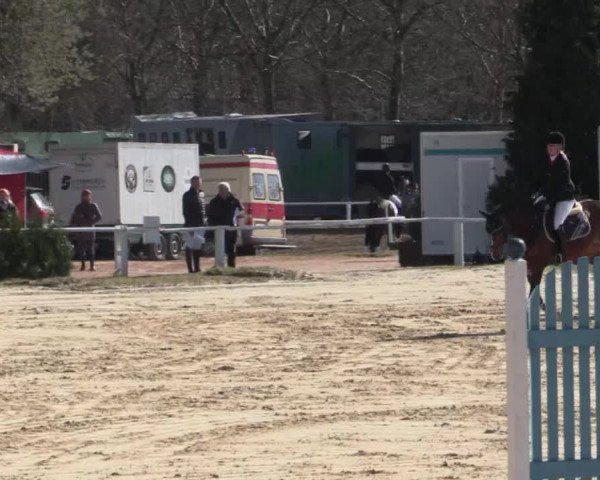 Reitturnier Bottrop 2018