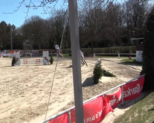 Reitturnier Bottrop 2018