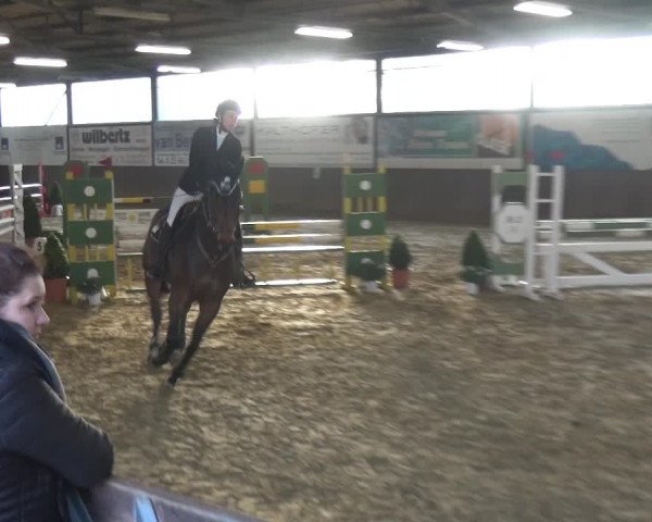 Reitturnier Jüchen-Waat 2018