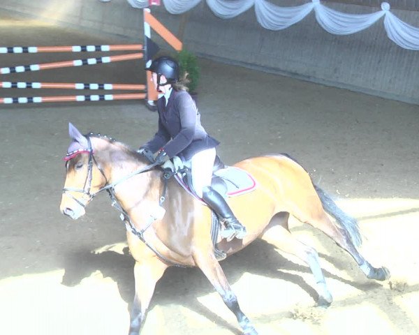 Reitturnier Friedrichshafen - Ailingen 2018