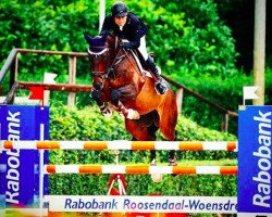 jumper Canaletto 12 (German Sport Horse, 2000, from Campamento)