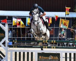 Zuchtstute Cayla V. Kappensand CH (Schweizer Warmblut, 2007, von Carentino VZ)