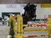 jumper Cesna V.kappensand CH (Swiss Warmblood, 2005, from Calvato VZ)