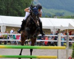 Springpferd Corette V. Kappensand CH (+) (Schweizer Warmblut, 2003, von Calvato VZ)