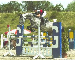 Springpferd Cashira vom Kappensand (Schweizer Warmblut, 2008, von Carentino VZ)