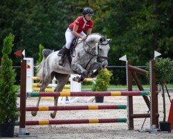 jumper Calinka V. Kappensand CH (+) (Swiss Warmblood, 2010, from Carentino VZ)