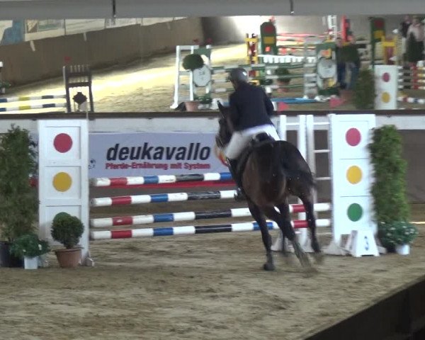 Reitturnier Jüchen-Waat 2018