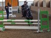 dressage horse Tigrou du Libaire (French Pony, 2007, from Olywood de Blonde)