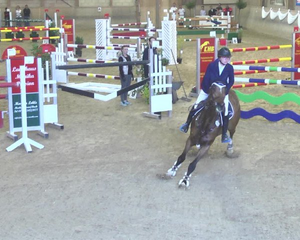 Reitturnier Friedrichshafen - Ailingen 2018