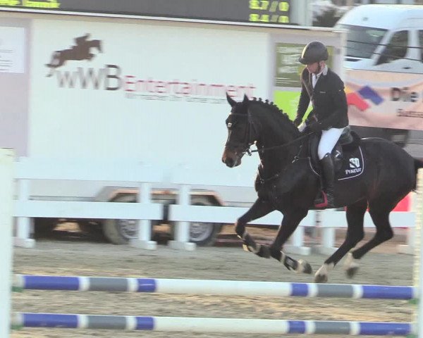 Reitturnier Schloß Holte 2018