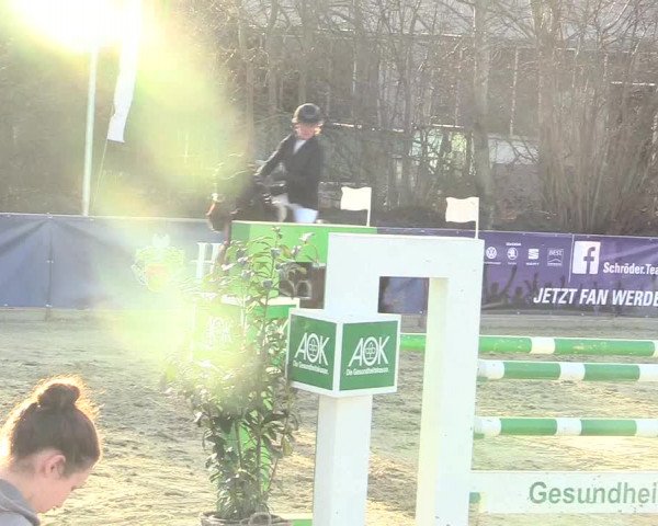 Reitturnier Schloß Holte 2018