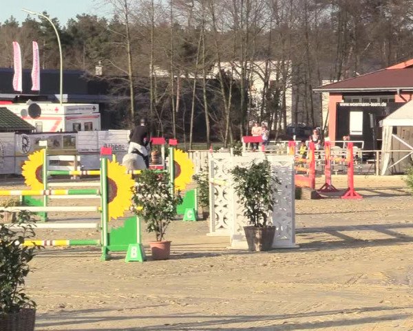 Reitturnier Schloß Holte 2018