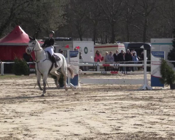 Reitturnier Bottrop 2018