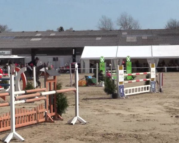 Reitturnier Bottrop 2018