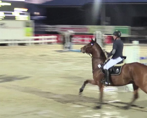 Reitturnier Schloß Holte 2018
