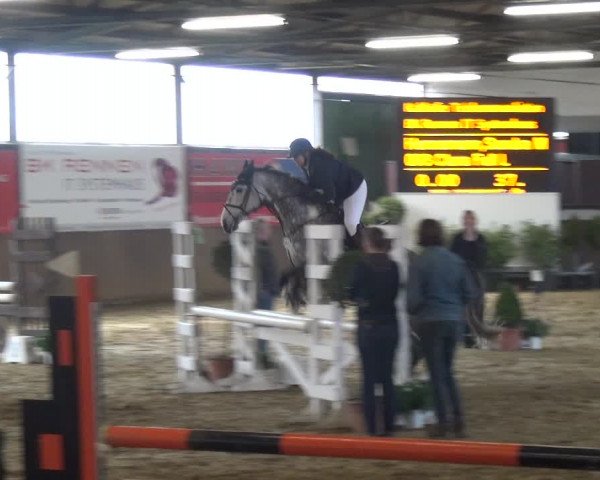 Reitturnier Jüchen-Waat 2018