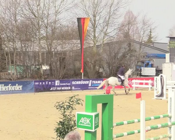 Reitturnier Schloß Holte 2018