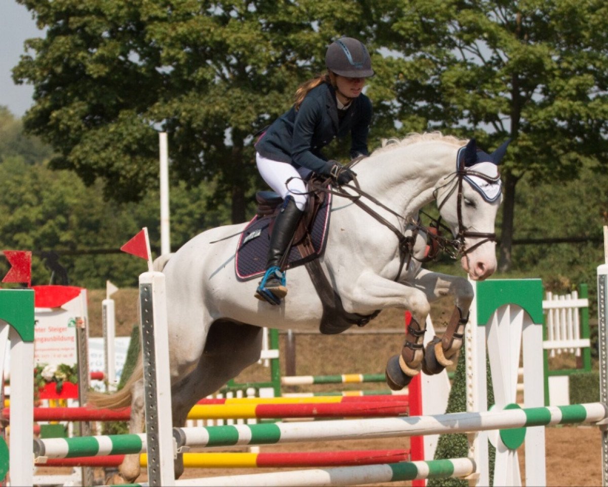 jumper Loretto 187 (Zweibrücken, 2003, from Lordano)