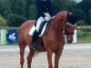 broodmare Rhianna 2 (Hanoverian, 2003, from Rubin Royal OLD)