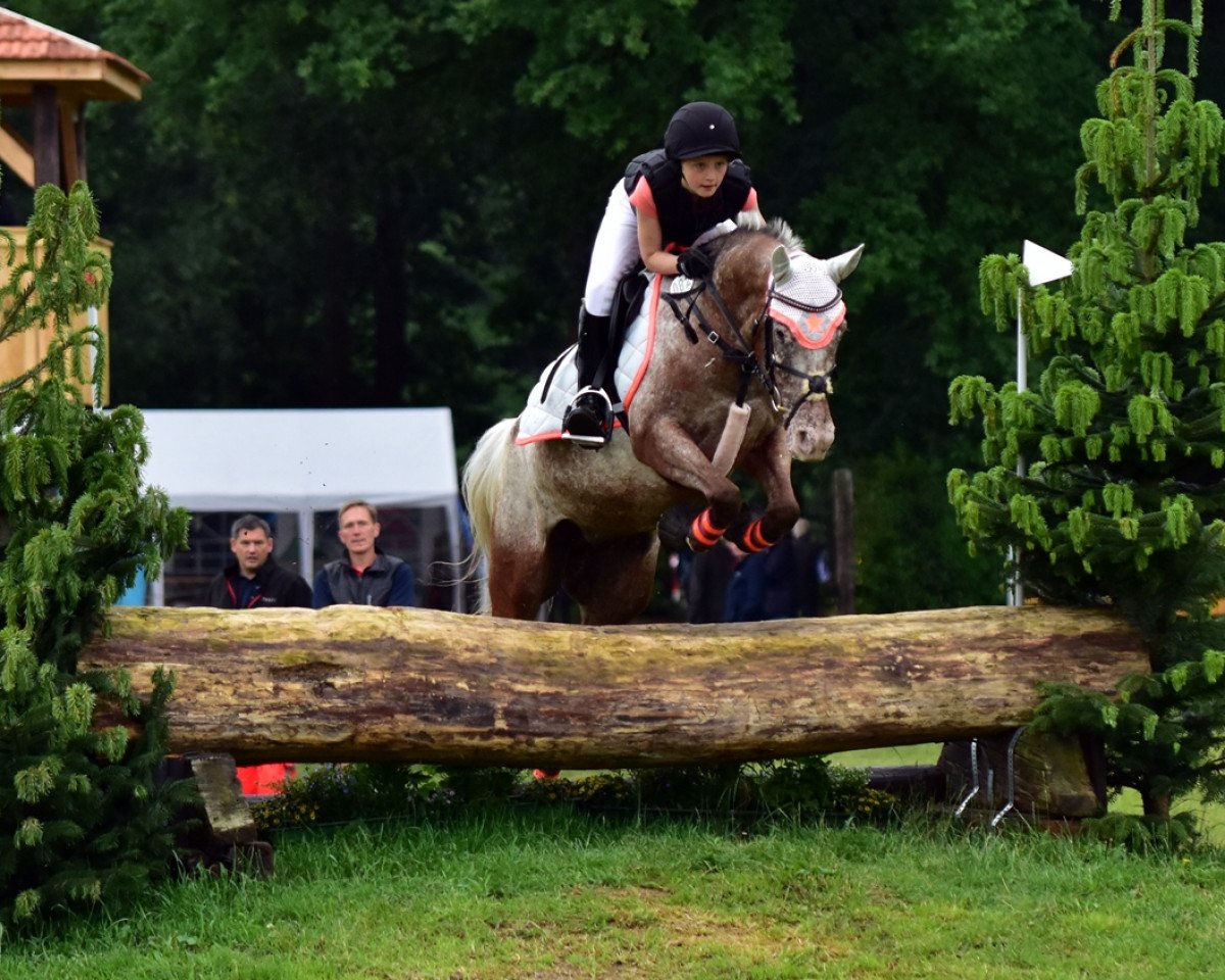 jumper Miss Indi Lumi (German Riding Pony, 2010, from Maverick)