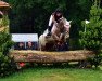 jumper Miss Indi Lumi (German Riding Pony, 2010, from Maverick)