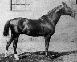 stallion Lord Major (Hanoverian, 1872, from Major)