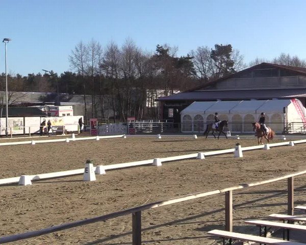 Reitturnier Schloß Holte 2018