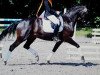 dressage horse Raciana (Oldenburg, 2007, from Rosario 37)