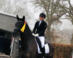 dressage horse Sanny Hill (KWPN (Royal Dutch Sporthorse), 2012, from San Amour I)