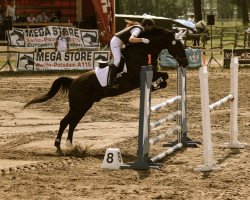 jumper Grandier S (German Sport Horse, 2006, from Moosbachhofs Goldwing)