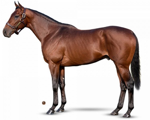 stallion Battle of Midway xx (Thoroughbred, 2014, from Smart Strike xx)