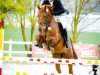 dressage horse Rosemount Quince (Oldenburg, 2011, from Quando-Quando)