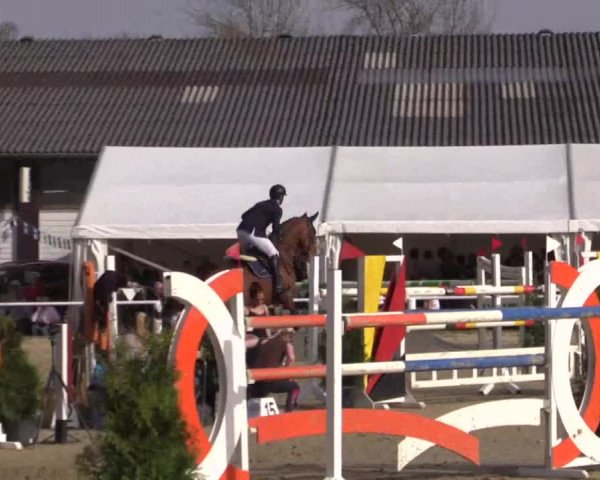 Reitturnier Bottrop 2018