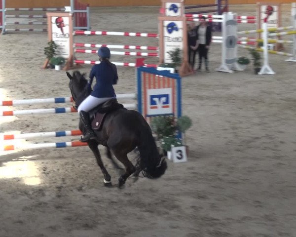 Reitturnier Xanten 2018