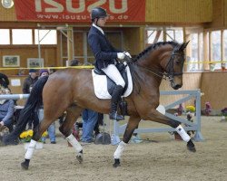 dressage horse Sir Odenwald (Hanoverian, 2009, from Sir Calypso)